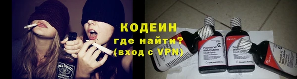 ПСИЛОЦИБИНОВЫЕ ГРИБЫ Арсеньев