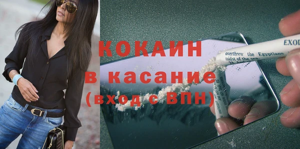 ПСИЛОЦИБИНОВЫЕ ГРИБЫ Арсеньев