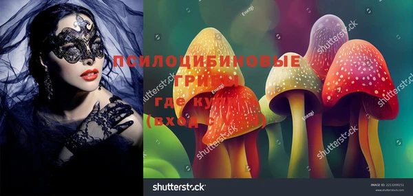 ПСИЛОЦИБИНОВЫЕ ГРИБЫ Арсеньев